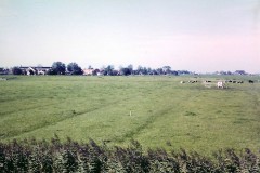 1966