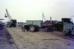 1970-scholekster