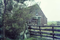 Dokkum-historie-Brokmui-16