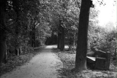 Dokkum-historie-Brokmui-20