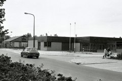 Kobbe-Houtduif