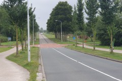 20250817_153018-Middel