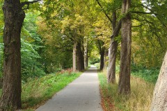 20250817_154038-Middel