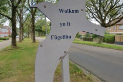 20250817_155611-Middel