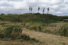 20250817_160659-Middel