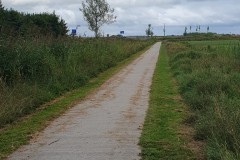 20250817_161141-Middel