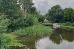 20250817_161344-Middel