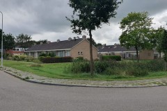 20250817_161624-Middel